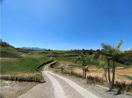  Land for sale in El Carmen De Viboral, Antioquia, El Carmen De Viboral