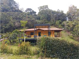 3 Habitación Villa en venta en Granada, Antioquia, Granada