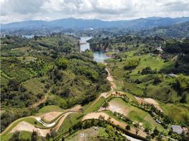  Land for sale in Penol, Antioquia, Penol