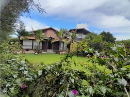 5 Bedroom House for sale in Ituango, Antioquia, Ituango