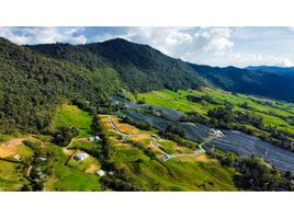  Terrain for sale in Abejorral, Antioquia, Abejorral