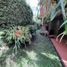 6 Bedroom House for sale in Antioquia, Medellin, Antioquia