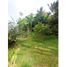  Land for sale in Pereira, Risaralda, Pereira