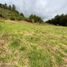  Land for sale in La Ceja, Antioquia, La Ceja