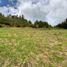  Land for sale in La Ceja, Antioquia, La Ceja