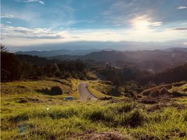  Terreno (Parcela) en venta en La Ceja, Antioquia, La Ceja