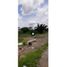  Land for sale in Cordoba, Monteria, Cordoba