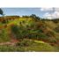  Land for sale in San Luis, Antioquia, San Luis