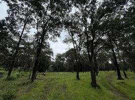  Grundstück zu verkaufen in Isidro Fabela, Mexico, Isidro Fabela
