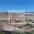  Land for sale in Caborca, Sonora, Caborca