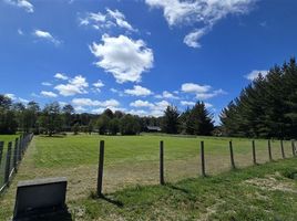  Terreno (Parcela) en venta en Frutillar, Llanquihue, Frutillar