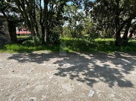  Grundstück zu verkaufen in Tepotzotlan, Mexico, Tepotzotlan