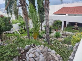 4 Habitación Casa en venta en Monterrey, Nuevo León, Monterrey