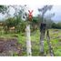  Land for sale in Cauca, Totoro, Cauca