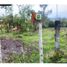  Land for sale in Totoro, Cauca, Totoro