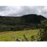  Land for sale in Totoro, Cauca, Totoro