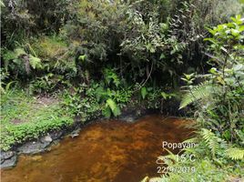  Land for sale in Totoro, Cauca, Totoro