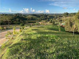  Land for sale in El Carmen De Viboral, Antioquia, El Carmen De Viboral