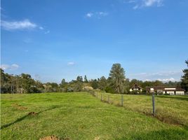  Land for sale in Rionegro, Antioquia, Rionegro