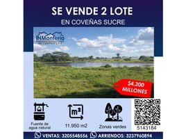  Land for sale in Monteria, Cordoba, Monteria