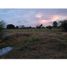  Land for sale in Monteria, Cordoba, Monteria