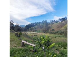  Land for sale in San Vicente, Antioquia, San Vicente