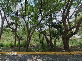  Terreno (Parcela) en venta en Zapopan, Jalisco, Zapopan, Jalisco