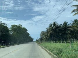  Grundstück zu verkaufen in Puerto Lopez, Manabi, Salango