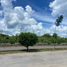  Land for sale in Hocaba, Yucatan, Hocaba