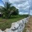 在Hocaba, Yucatan出售的 土地, Hocaba
