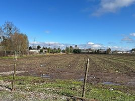  Terreno (Parcela) en venta en Libertador General Bernardo O'Higgins, Nancagua, Colchagua, Libertador General Bernardo O'Higgins