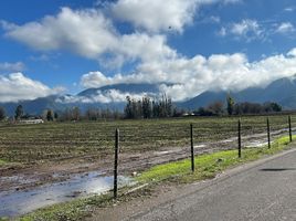  Grundstück zu verkaufen in Colchagua, Libertador General Bernardo Ohiggins, Nancagua, Colchagua