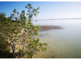  Grundstück zu verkaufen in Othon P Blanco, Quintana Roo, Othon P Blanco