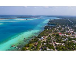  Grundstück zu verkaufen in Othon P Blanco, Quintana Roo, Othon P Blanco