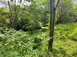  Land for sale in San Jeronimo, Antioquia, San Jeronimo