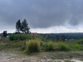  Land for sale in Emiliano Zapata, Veracruz, Emiliano Zapata