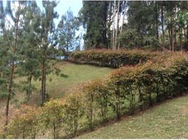  Land for sale in Envigado, Antioquia, Envigado