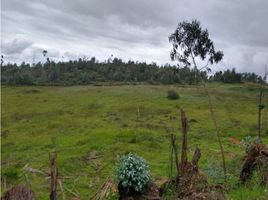  Terreno (Parcela) en venta en Santa Sofia, Boyaca, Santa Sofia