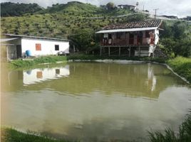 Estudio Villa en venta en Colombia, Aranzazu, Caldas, Colombia