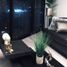 2 Habitación Apartamento en alquiler en Tijuana, Baja California, Tijuana, Baja California