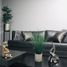 2 Habitación Apartamento en alquiler en Tijuana, Baja California, Tijuana, Baja California