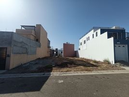  Grundstück zu verkaufen in Tijuana, Baja California, Tijuana, Baja California