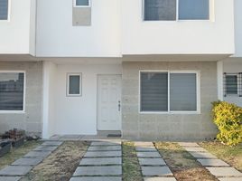3 Habitación Casa en alquiler en Queretaro, Querétaro, Queretaro