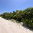  토지을(를) Isla Mujeres, Quintana Roo에서 판매합니다., Isla Mujeres