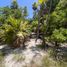  토지을(를) Isla Mujeres, Quintana Roo에서 판매합니다., Isla Mujeres