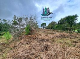  Grundstück zu verkaufen in Boquete, Chiriqui, Palmira