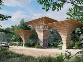  Land for sale in Lazaro Cardenas, Quintana Roo, Lazaro Cardenas, Quintana Roo
