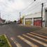 Studio House for rent in San Andres Cholula, Puebla, San Andres Cholula