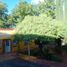 3 Bedroom House for rent in Parras, Coahuila, Parras