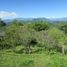  Land for sale in Tamesis, Antioquia, Tamesis